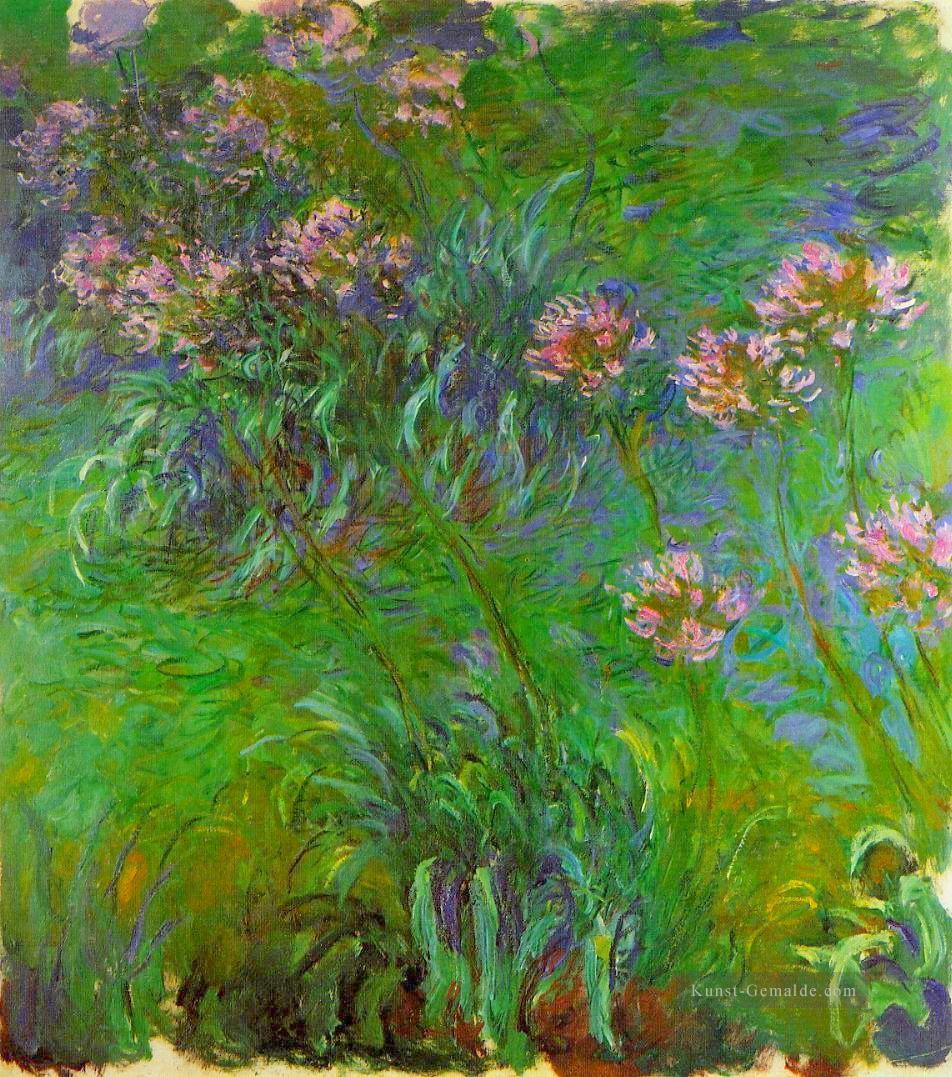 Agapanthus Claude Monet impressionistische Blumen Ölgemälde